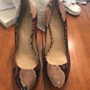 Coach Buffy Printed Python Platform Pumps